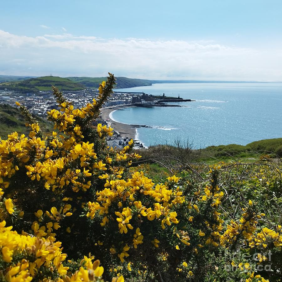 Aberystwyth from Constitution Hill Photograph by Gemma Reece-Holloway