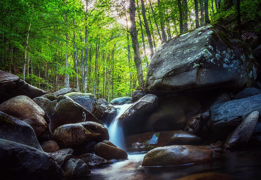 Small Waterfall inside a Forest Photograph by Stefano Orazzini