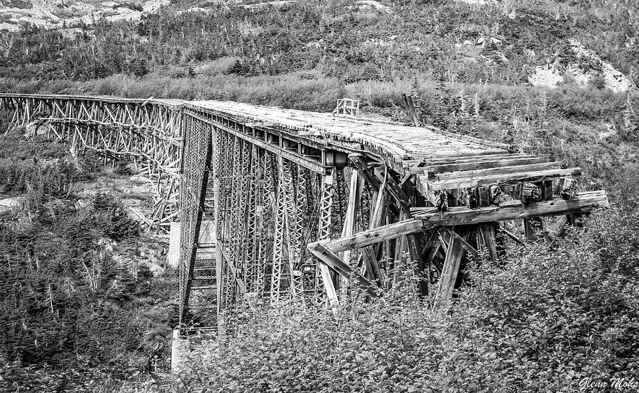 Abandoned Trestle Bridge Photograph by GLENN Mohs