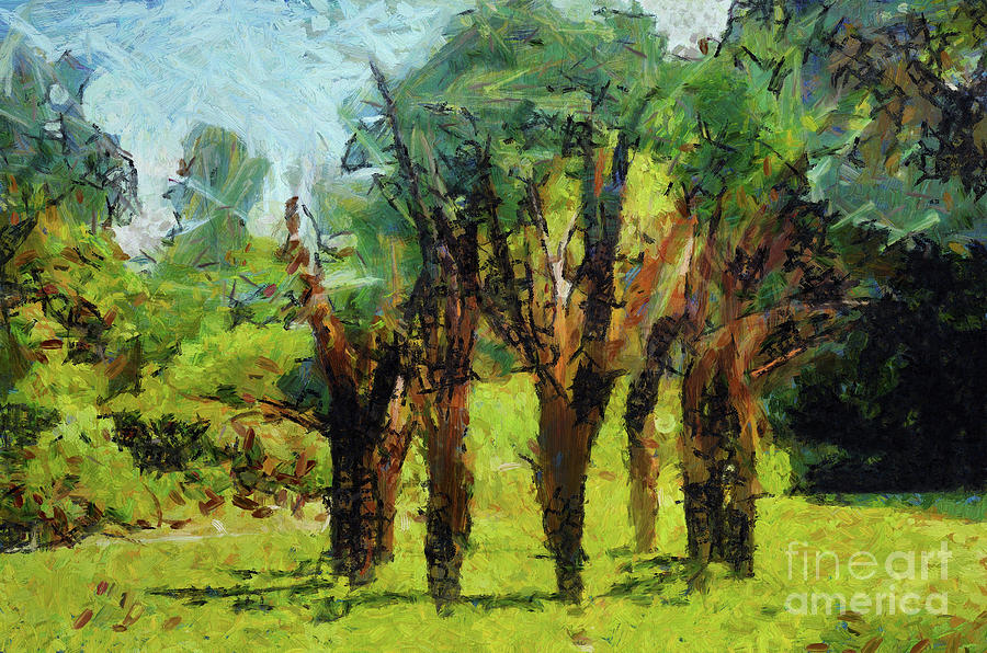 Abstract Trees  digital painting Painting by Elaine Manley
