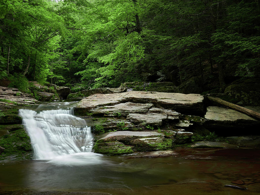 Above Kaaterskill Falls Photograph by Matthew Conheady - Fine Art America