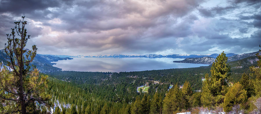 Mountain Photograph - Above Lake Tahoe by Maria Coulson