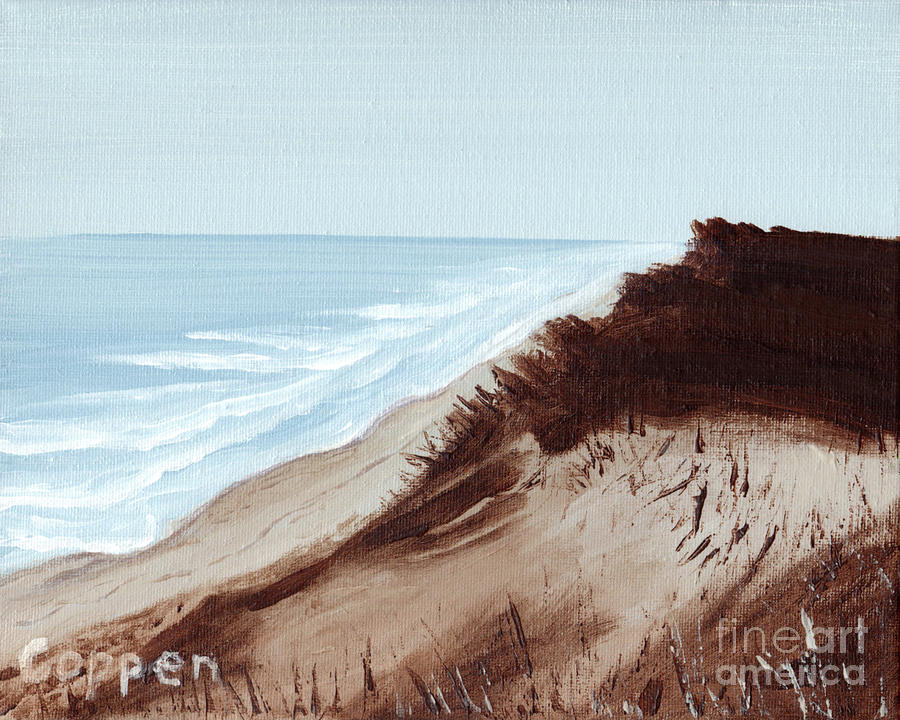 Above Nauset Beach Painting by Robert Coppen
