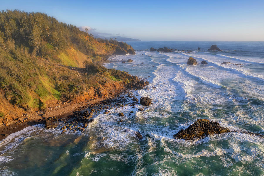 Oregon Photograph - Above the Beach by Darren White