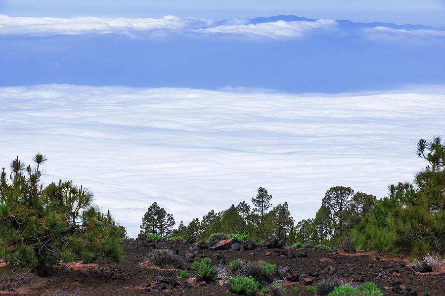 Above the clouds in Teide National Park Photograph by Sun Travels