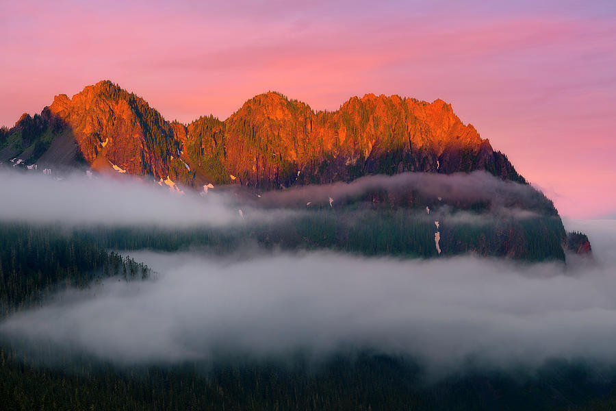 Mount Rainier National Park Photograph - Above the Clouds by Ryan Manuel