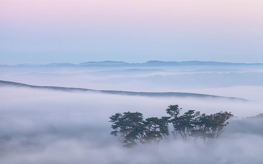 Above The Fog Photograph by Jonathan Nguyen