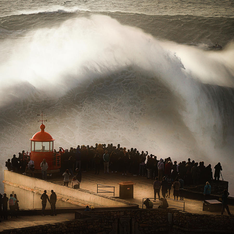 Above the Fort Photograph by Mattias Hammar - Fine Art America