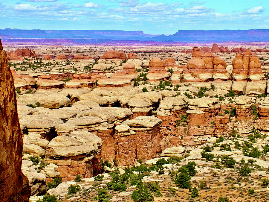 Above the Needles from Trail to Elephant Hill in iNeedles District, Canyonlands National Park, Utah Photograph by Ruth Hager