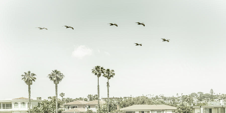 Above the rooftops of San Diego - Vintage Panorama Photograph by Melanie Viola