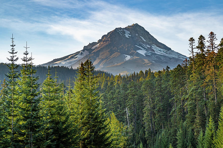 Above the Timberline Photograph by Bill Pevlor - Fine Art America