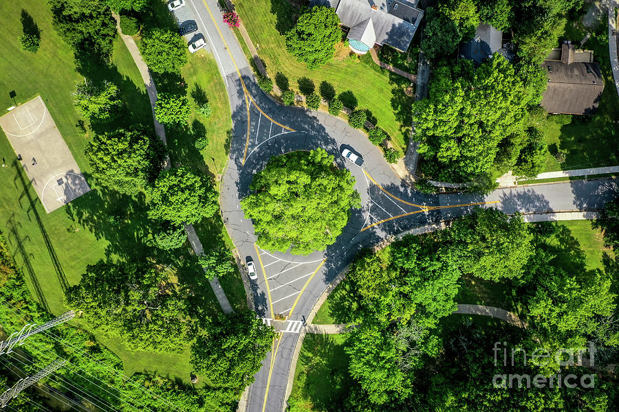 Tree Photograph - Above traffic circle by Raynor Garey
