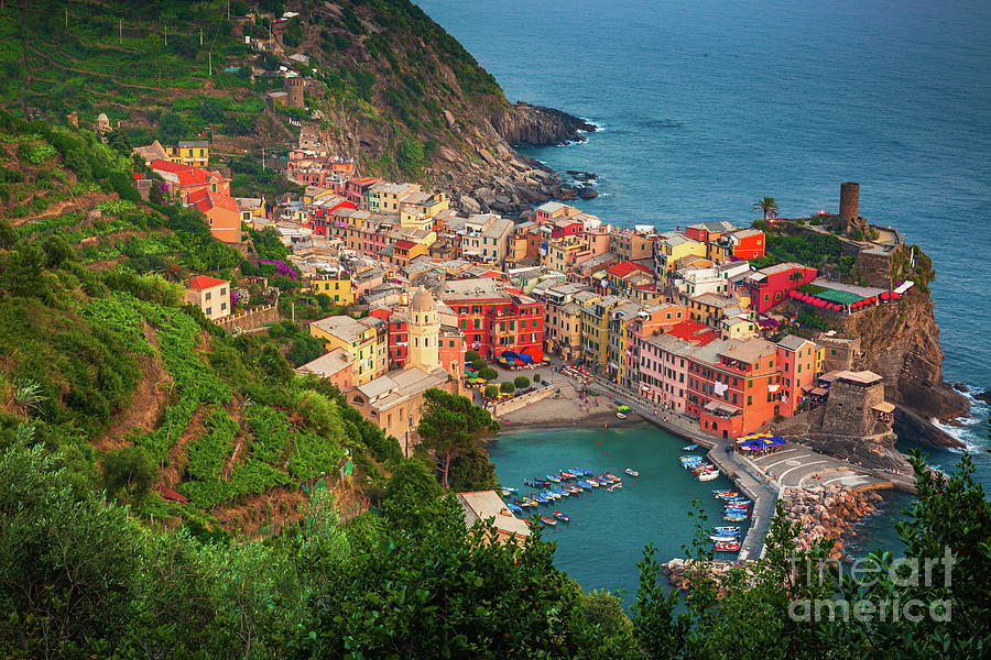Above Vernazza Photograph by Inge Johnsson