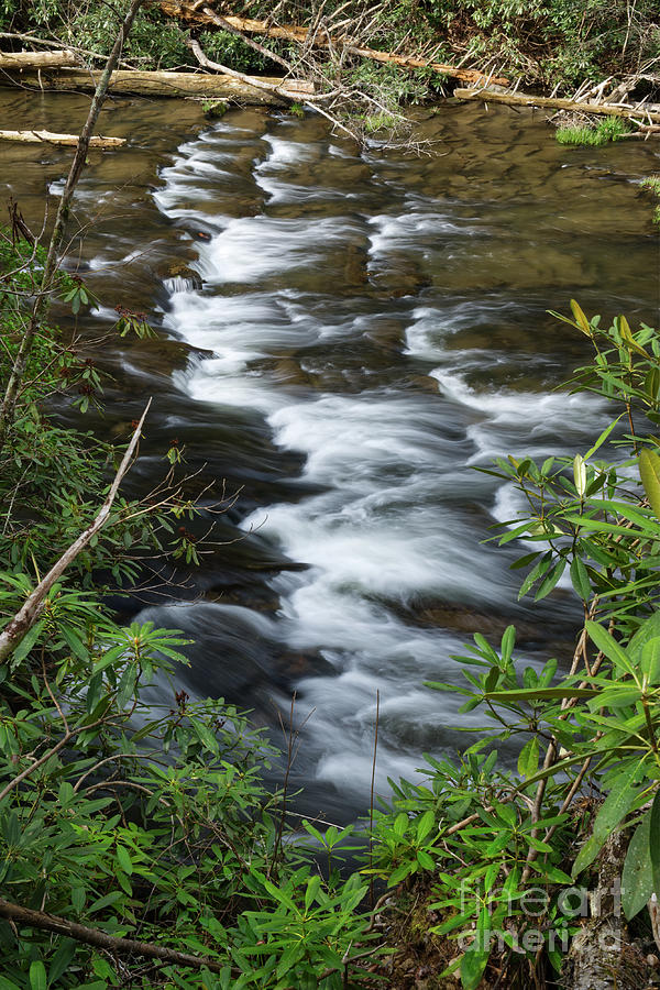 Abrams Creek 2 Photograph by Phil Perkins