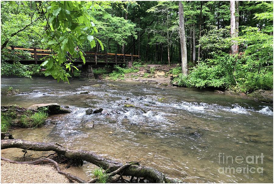 Abrams Creek Bridge, Cades Cove, Tn Photograph By Alicia Green - Fine ...