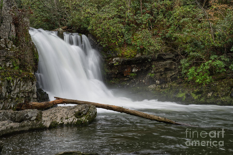 Abrams Falls 13 Photograph by Phil Perkins