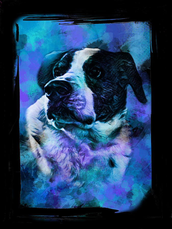 Abs Tac Puppy Face Digital Art by Jeremy Lyman