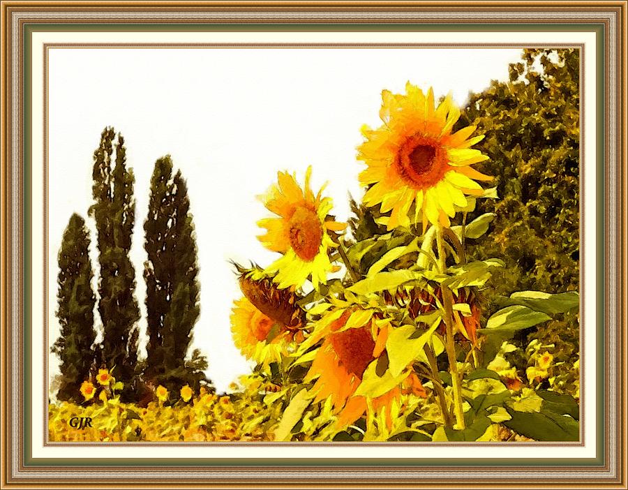 Absolute Flower Gloria Catus 3 No. 1 - Sunflower Beauty L A  S With Printed Frame. Digital Art