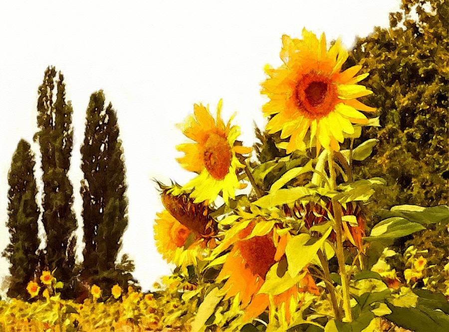 Absolute Flower Gloria Catus 3 No. 1 - Sunflower Beauty L B Digital Art
