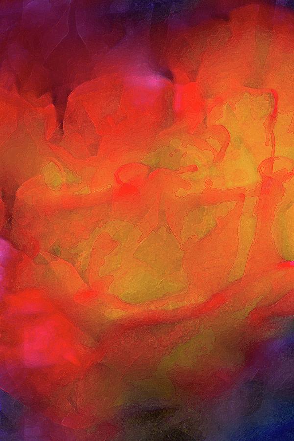 Abstract 279 Photograph by Pamela Cooper