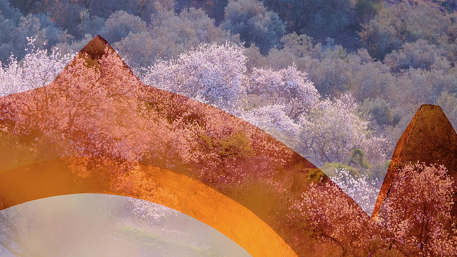 Abstract - Almond blossom clouds Photograph by Gary Browne