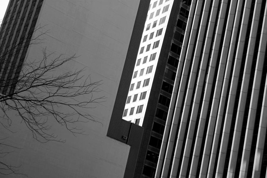 Abstract Architectural Lines Black White Photograph by Patrick Malon