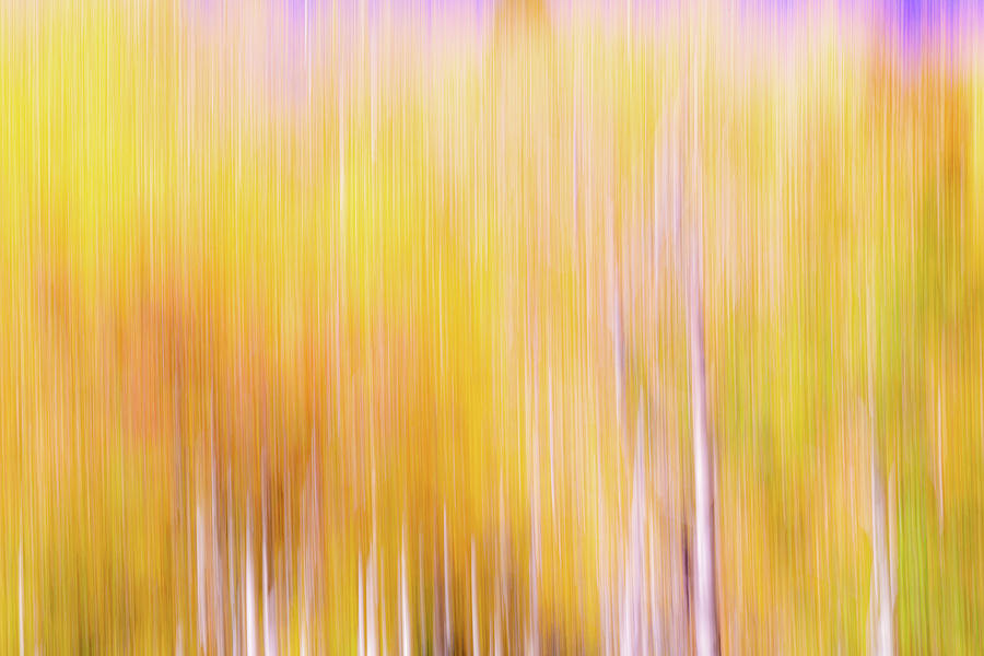 Abstract Aspens Under a Purple Sunset Sky Photograph by David Downs
