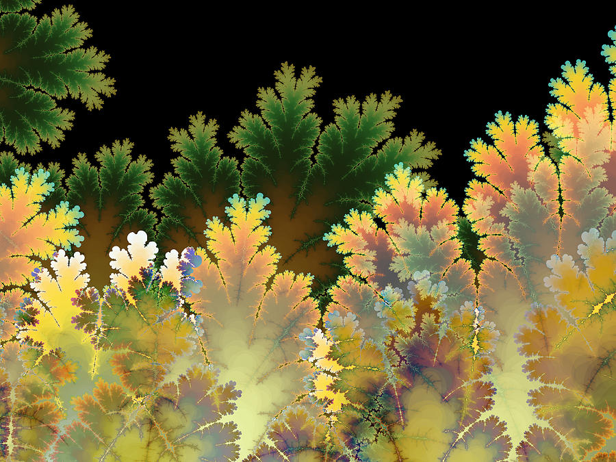 Abstract Autumn Digital Art by Blair Gibb