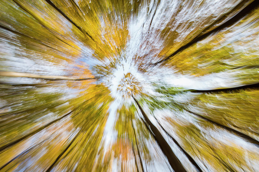 Abstract Autumn  Photograph by Mircea Costina Photography