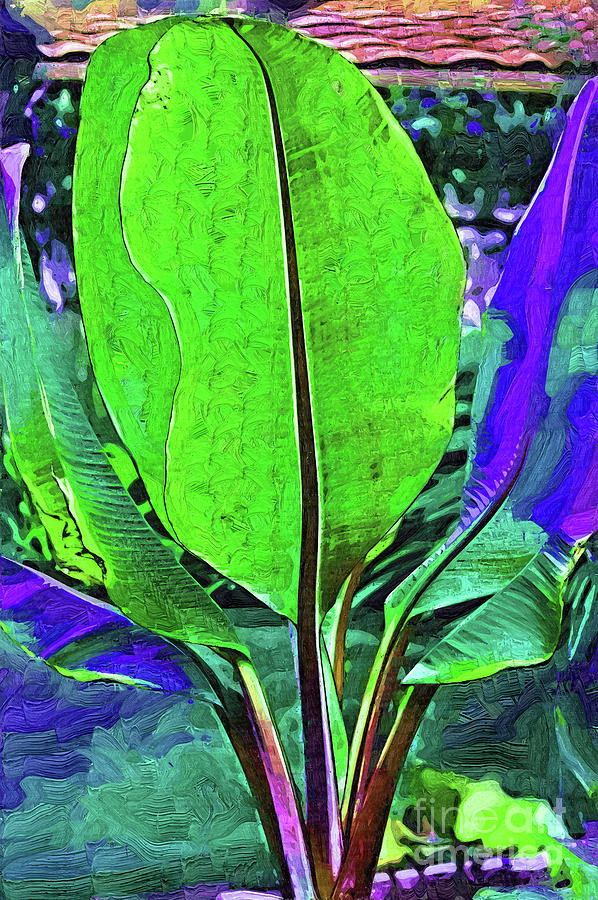 Abstract Banana Plant Digital Art by Kirt Tisdale