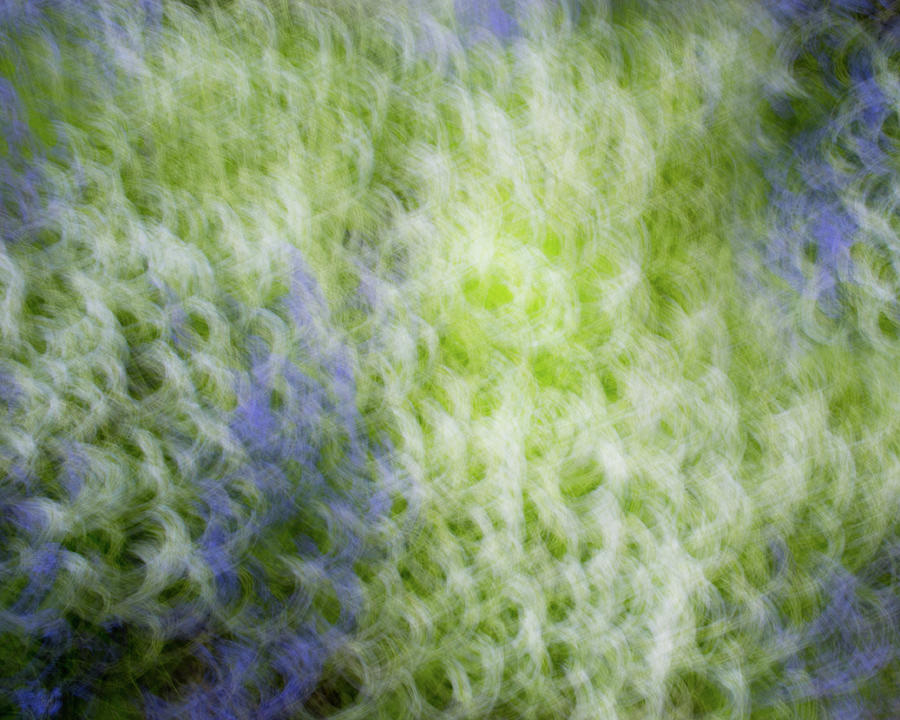 Abstract Beauty Photograph by Douglas Allen Abstract Beauty Photograph by Douglas Allen