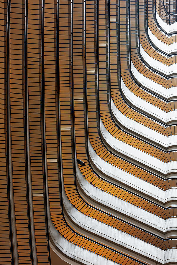 Abstract bends Photograph by Murray Rudd