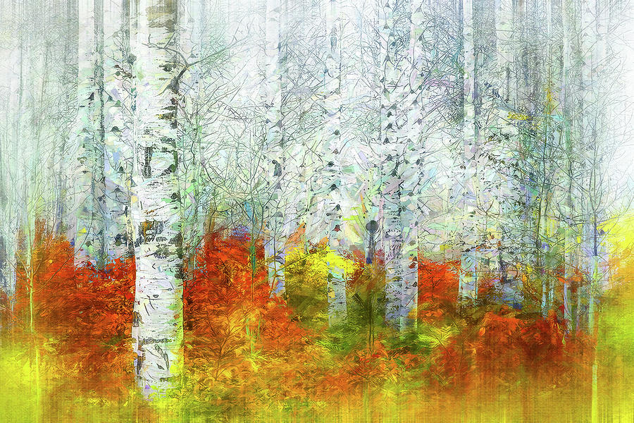 Abstract Birch Forest Digital Art by Terry Davis