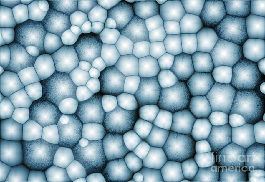 Abstract Blue Bubbles Digital Art by Phil Perkins