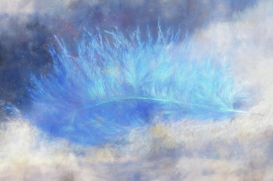 Abstract Digital Art - Abstract Blue Feather by Terry Davis
