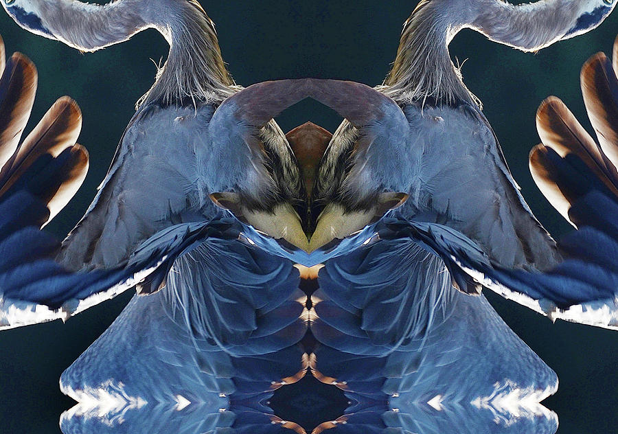 Abstract Blue Heron, Kaleidoscope, North Carolina, Digital Print Photograph by Eric Abernethy