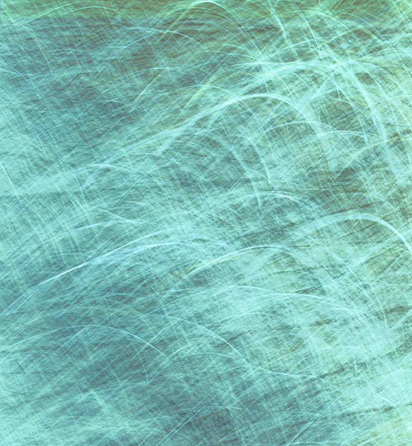 Abstract Blue Sea Grass Photograph by Pat Ashley - Pixels