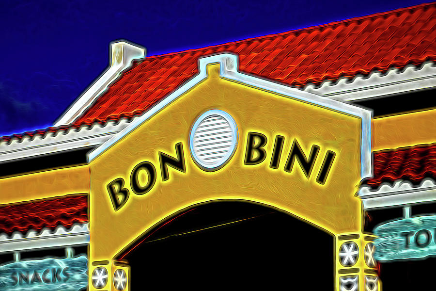 Abstract Bon Bini Aruba Welcome Center Photograph