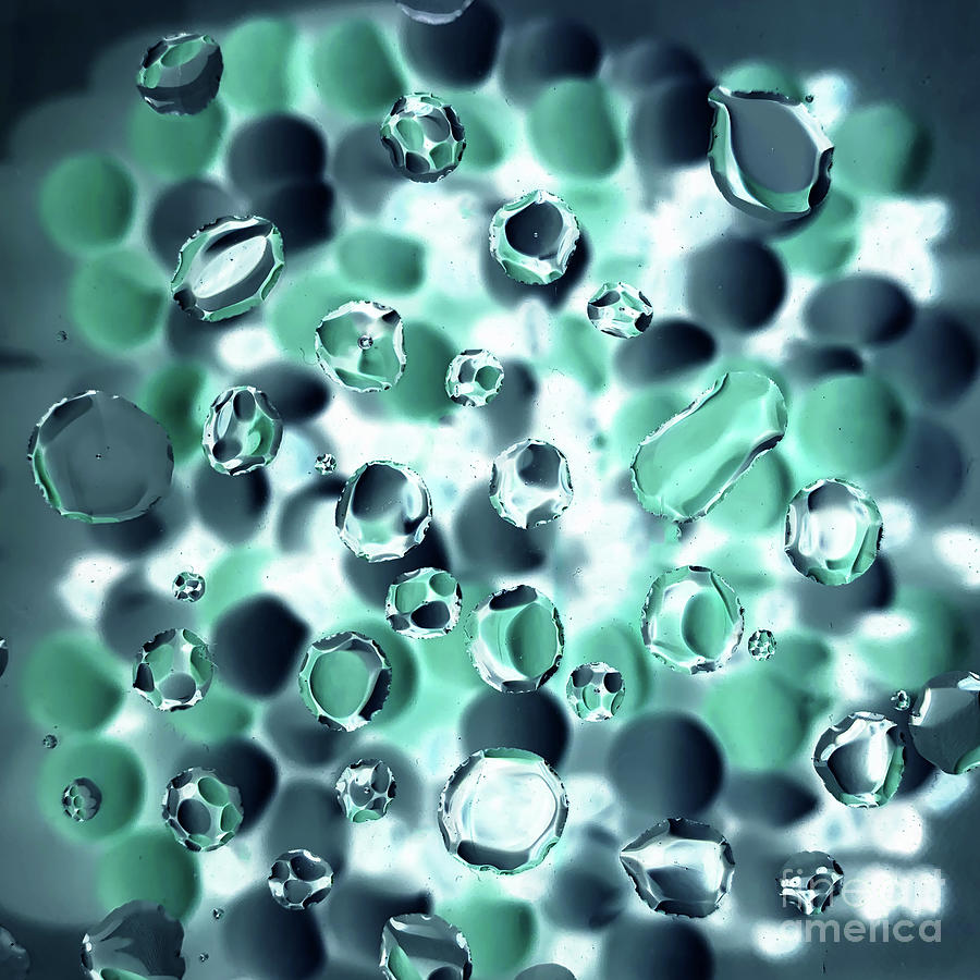 Abstract bubbles green Photograph by Marina Usmanskaya