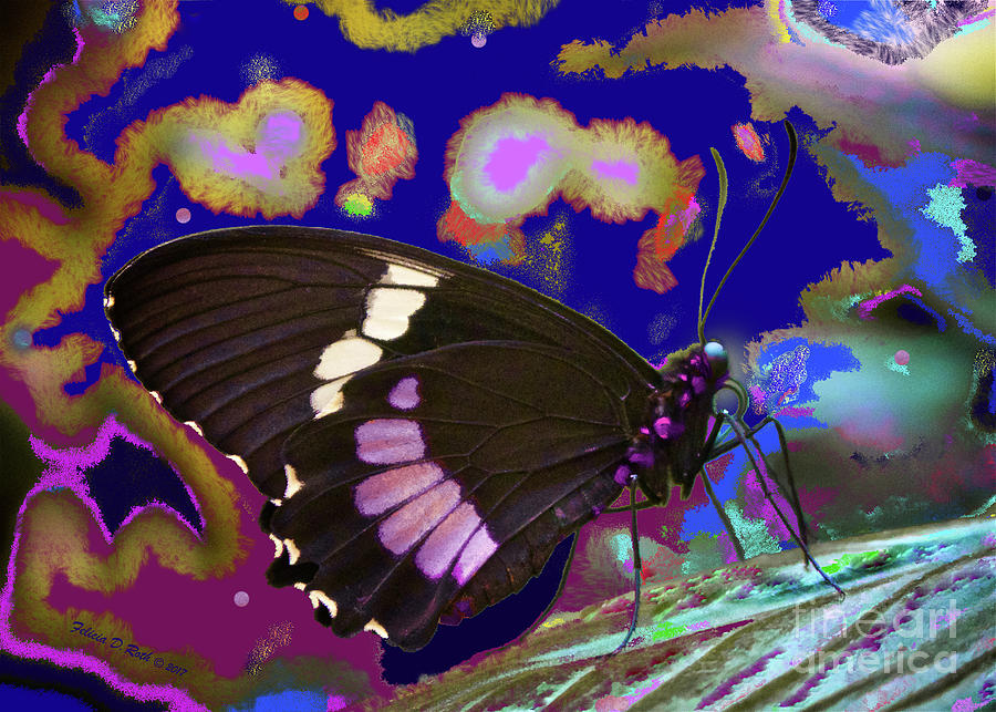 Abstract Butterfly Fun Photograph by Felicia Roth