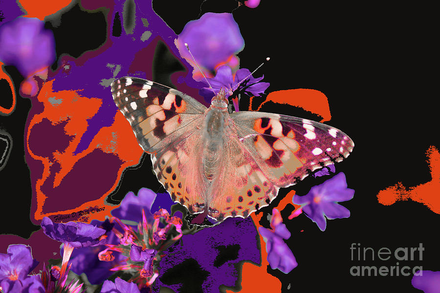 Abstract Butterfly Perfection Photograph by Felicia Roth