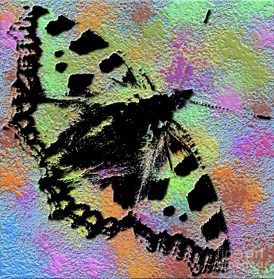 Abstract butterfly Photograph by Pics By Tony