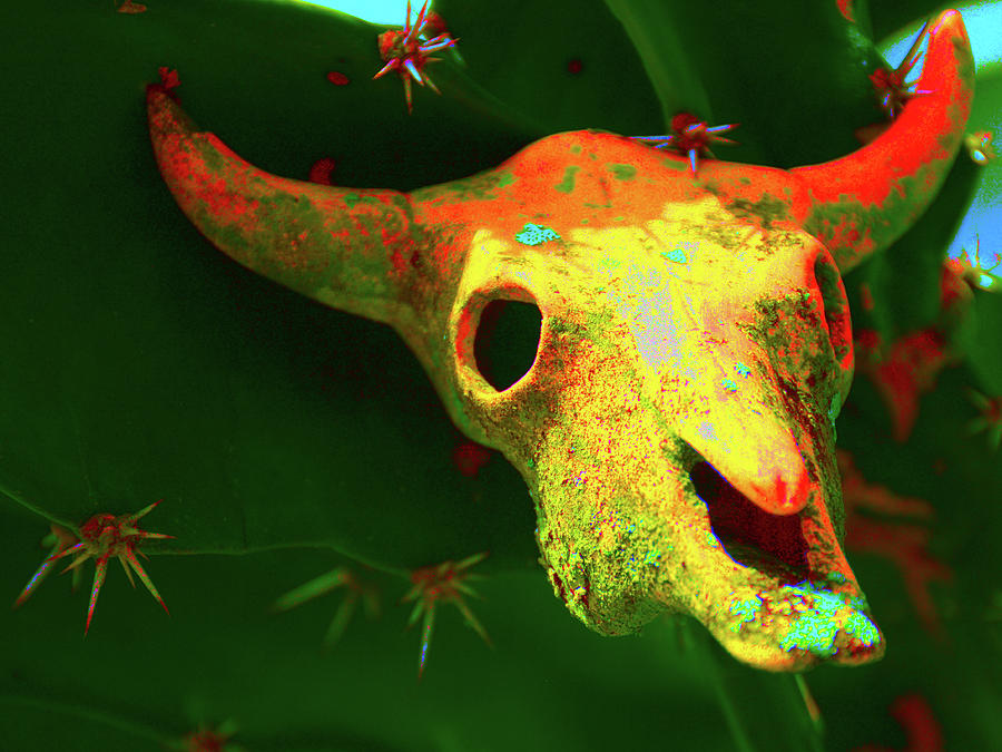 Abstract  Cactus Bulls Head  Photograph by Christopher Mercer