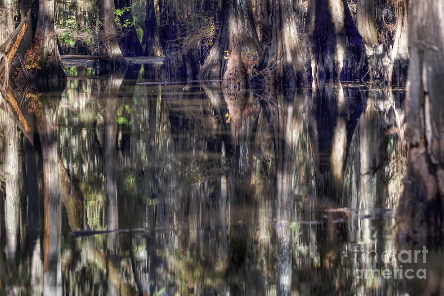 Abstract Caddo Lake 4494 Photograph by Lawrence Burry