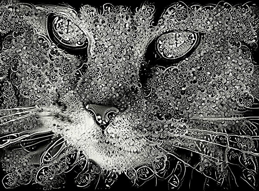 Abstract Cat - Black and White Mixed Media by Peggy Collins
