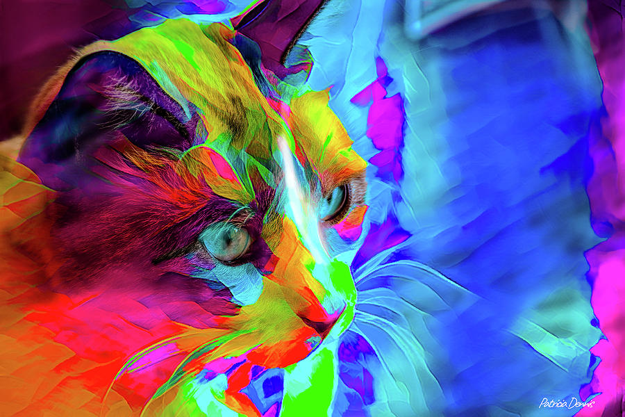 Abstract Cat Photograph by Patricia Dennis