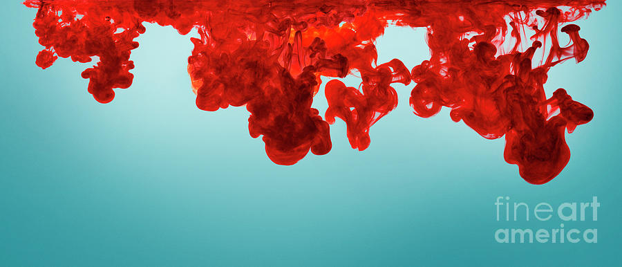 Abstract color paint splash on blue background. Red ink in water Photograph by Jelena Jovanovic