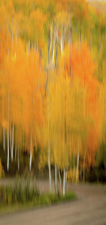Abstract Colorado Fall Road Photograph by David Downs