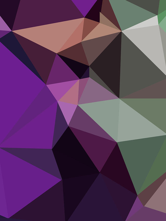 Abstract Colorful Polygon 32 Digital Art