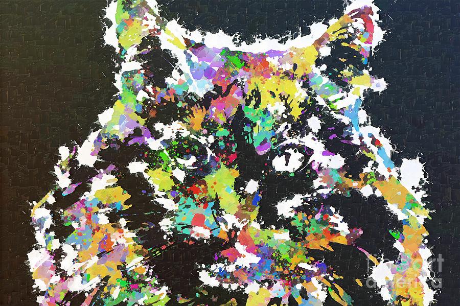 Abstract Painting - Abstract Colorful Portrait of a Funny Tuxedo Cat by Stefano Senise